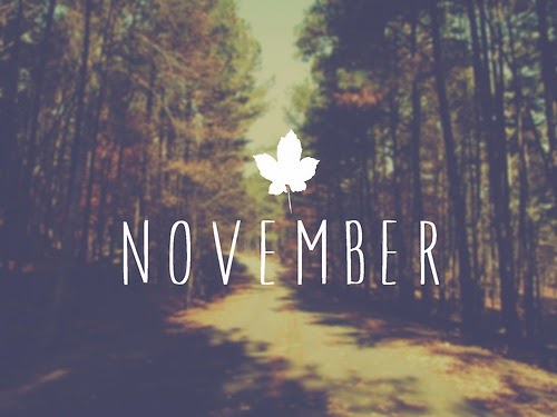 Monthly Bucket List: November