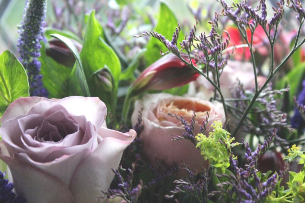 See The Stars - Seasonal Flowers by Appleyard London See The Stars - Seasonal Flowers by Appleyard London