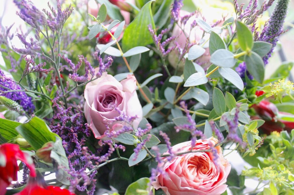 See The Stars - Seasonal Flowers by Appleyard London See The Stars - Seasonal Flowers by Appleyard London